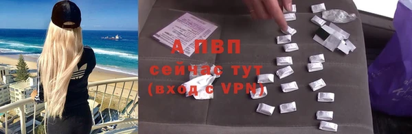 СК Белокуриха