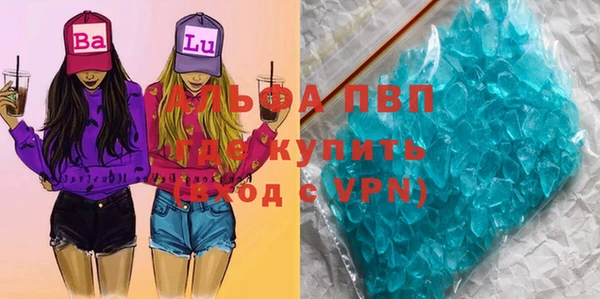 СК Белокуриха
