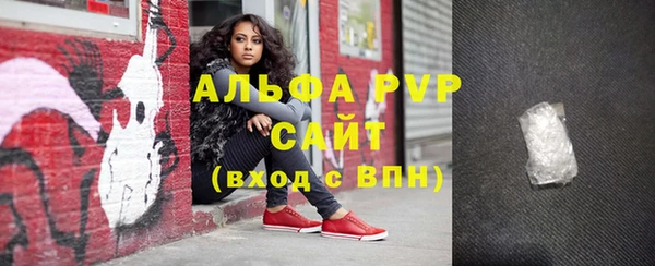 СК Белокуриха