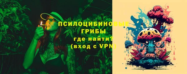 СК Белокуриха