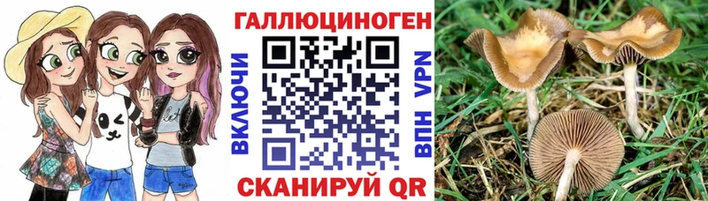 Псилоцибиновые грибы мухоморы Верхотурье